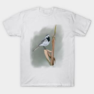 Pied Wagtail Soft Pastel Drawing on Grey T-Shirt